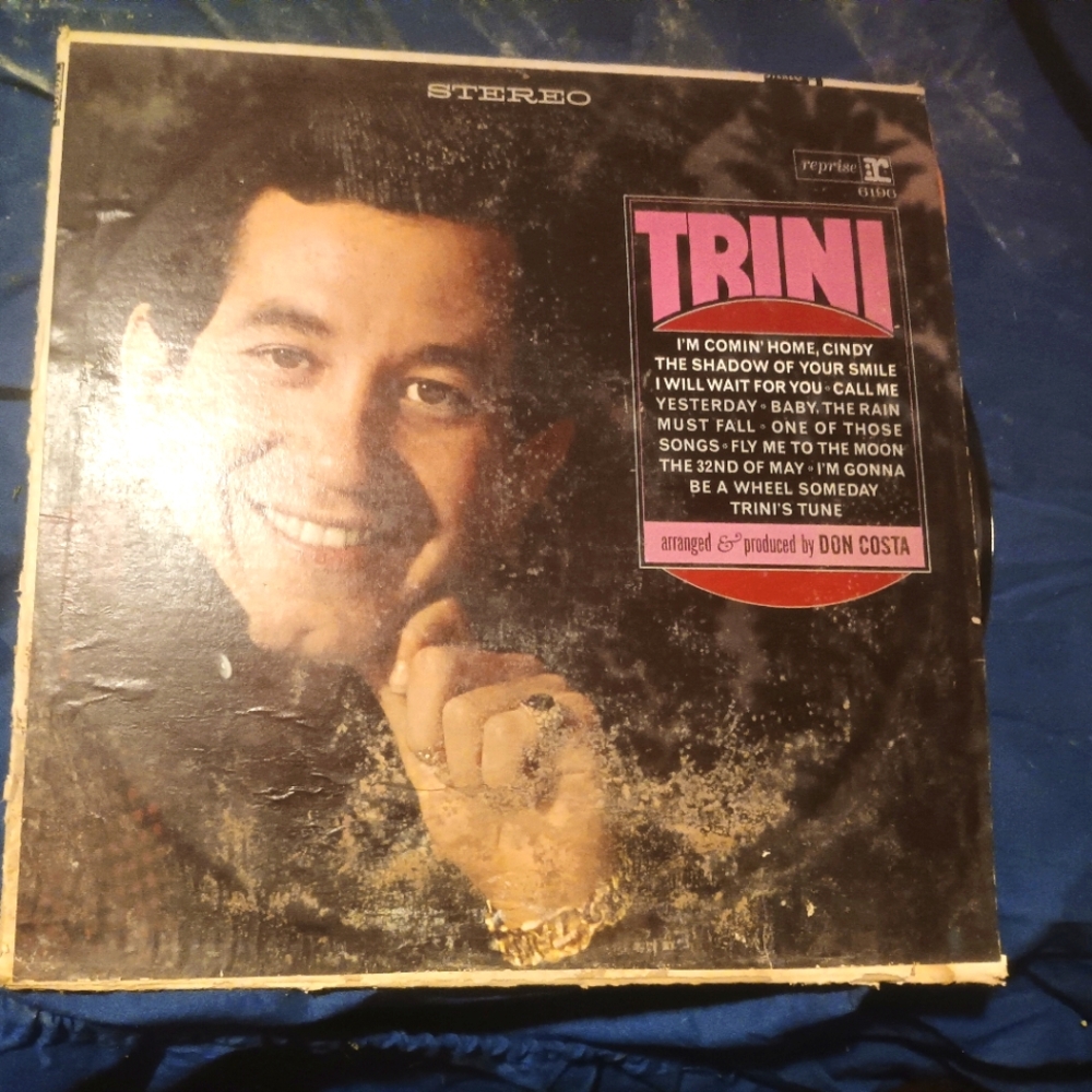 Trini's tun vinyl record